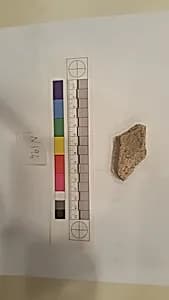 Stucco Fragment by Unknown Artist