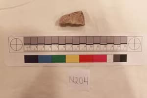 Stucco Fragment by Unknown Artist