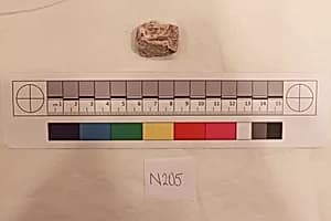 Stucco Fragment by Unknown Artist