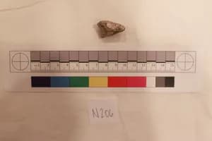 Stucco Fragment by Unknown Artist