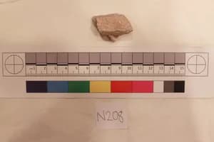 Stucco Fragment by Unknown Artist