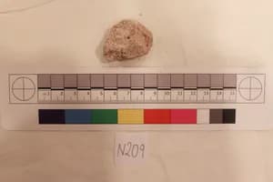 Stucco Fragment by Unknown Artist