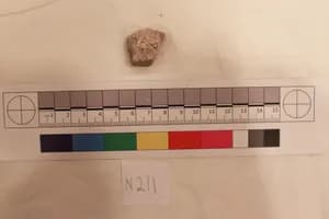 Stucco Fragment by Unknown Artist