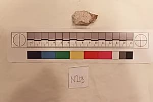 Stucco Fragment by Unknown Artist