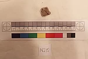 Stucco Fragment by Unknown Artist