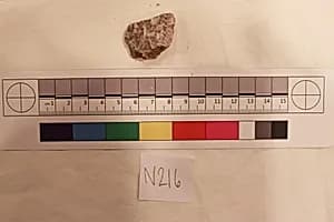 Stucco Fragment by Unknown Artist