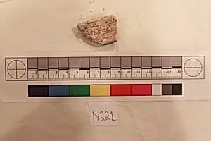 Stucco Fragment by Unknown Artist
