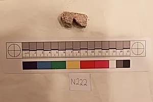 Stucco Fragment by Unknown Artist