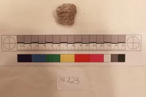 Stucco Fragment by Unknown Artist