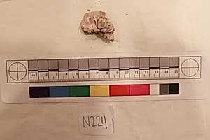 Stucco Fragment by Unknown Artist