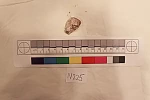 Stucco Fragment by Unknown Artist