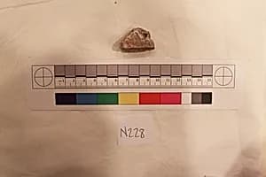 Stucco Fragment by Unknown Artist