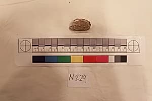 Stucco Fragment by Unknown Artist