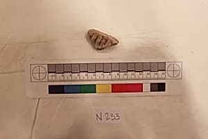 Stucco Fragment by Unknown Artist