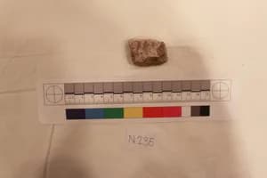 Stucco Fragment by Unknown Artist