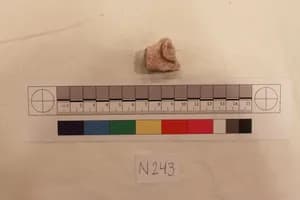 Stucco Fragment by Unknown Artist