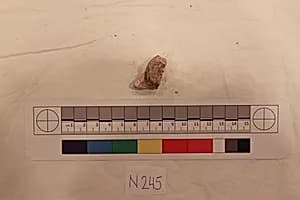 Stucco Fragment by Unknown Artist