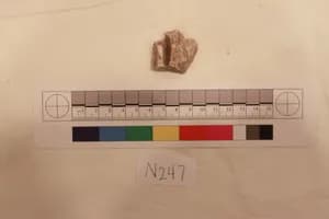 Stucco Fragment by Unknown Artist
