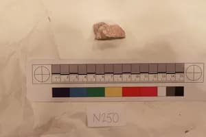 Stucco Fragment by Unknown Artist