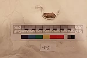 Stucco Fragment by Unknown Artist