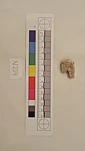 Stucco Fragment by Unknown Artist