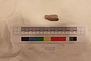 Stucco Fragment by Unknown Artist