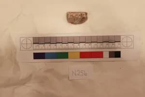 Stucco Fragment by Unknown Artist