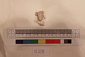 Stucco Fragment by Unknown Artist
