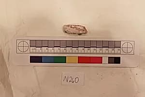 Stucco Fragment by Unknown Artist