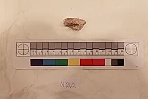 Stucco Fragment by Unknown Artist