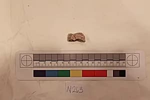 Stucco Fragment by Unknown Artist
