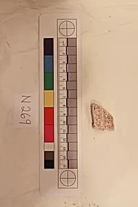 Stucco Fragment by Unknown Artist