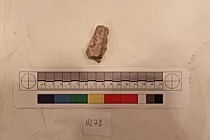 Stucco Fragment by Unknown Artist