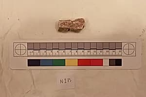 Stucco Fragment by Unknown Artist