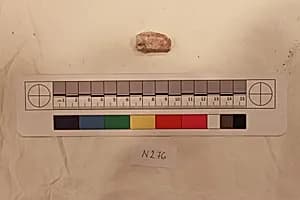Stucco Fragment by Unknown Artist