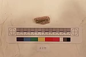 Stucco Fragment by Unknown Artist