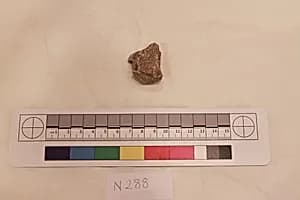 Stucco Fragment by Unknown Artist