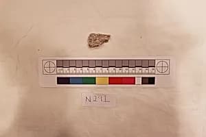 Stucco Fragment by Unknown Artist