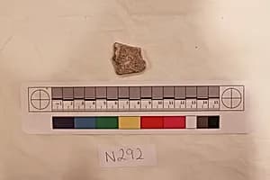 Stucco Fragment by Unknown Artist