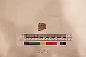 Stucco Fragment by Unknown Artist