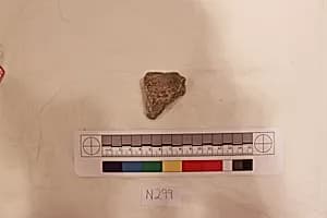 Stucco Fragment by Unknown Artist