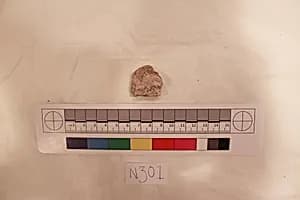 Stucco Fragment by Unknown Artist