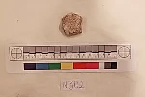 Stucco Fragment by Unknown Artist