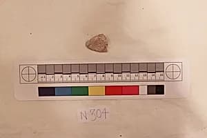 Stucco Fragment by Unknown Artist