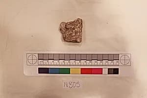 Stucco Fragment by Unknown Artist