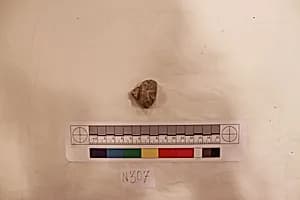 Stucco Fragment by Unknown Artist