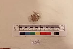 Stucco Fragment by Unknown Artist