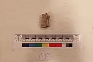 Stucco Fragment by Unknown Artist