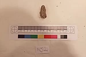 Stucco Fragment by Unknown Artist