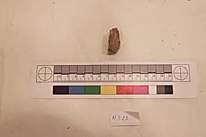 Stucco Fragment by Unknown Artist